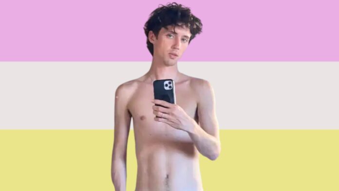 como-no-se-debe-usar-termino-twink-troye sivan explica expresion insulto slur heterosexuales uso