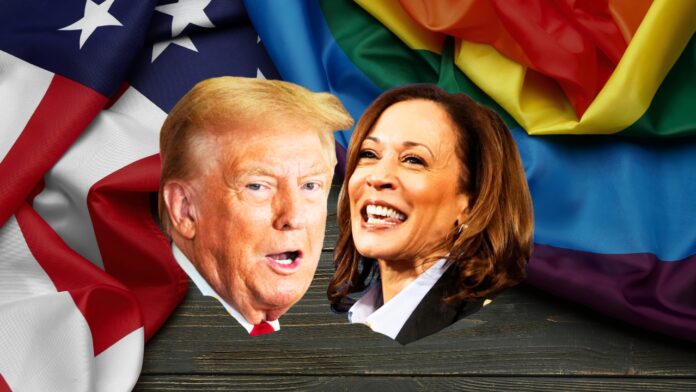 kamala-harris-vs-donald-trump-poblacion-lgbt-olvidada-contienda-elecciones-estados-unidos kamala harris vs donald trump poblacion lgbt olvidada contienda elecciones estados unidos