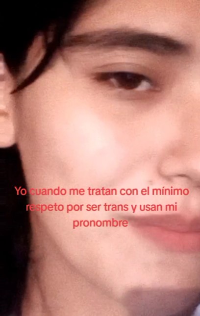 Marivi enamorada mariconada TikTok videos audio