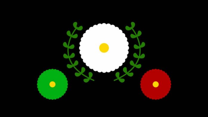 Bandera muxe muxes origen significado colores qué es