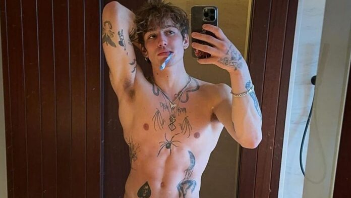 Vinnie Hacker fotos videos biografía tiktoker sexualidad pareja gay troye sivan novia novio