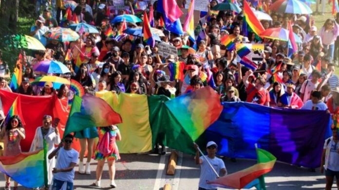banderas LGBT menos conocidas desconocidas nuevas