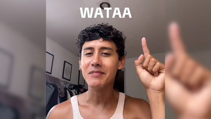 Wataa gay significado ejemplos qué es videos fotos meaning slang español Twitter X TikTok