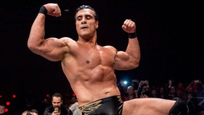 bultos-famosos-enloquecieron-publico-2025-fotos-videos-actores-cantantes-alberto-del-rio bultos famosos enloquecieron publico 2025 fotos videos actores cantantes alberto del río